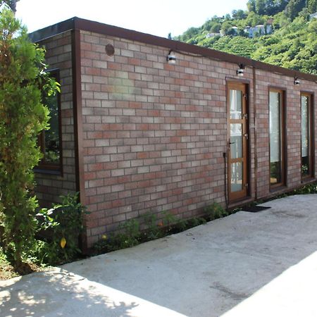 באטומי Modular House Green Zyland Y מראה חיצוני תמונה