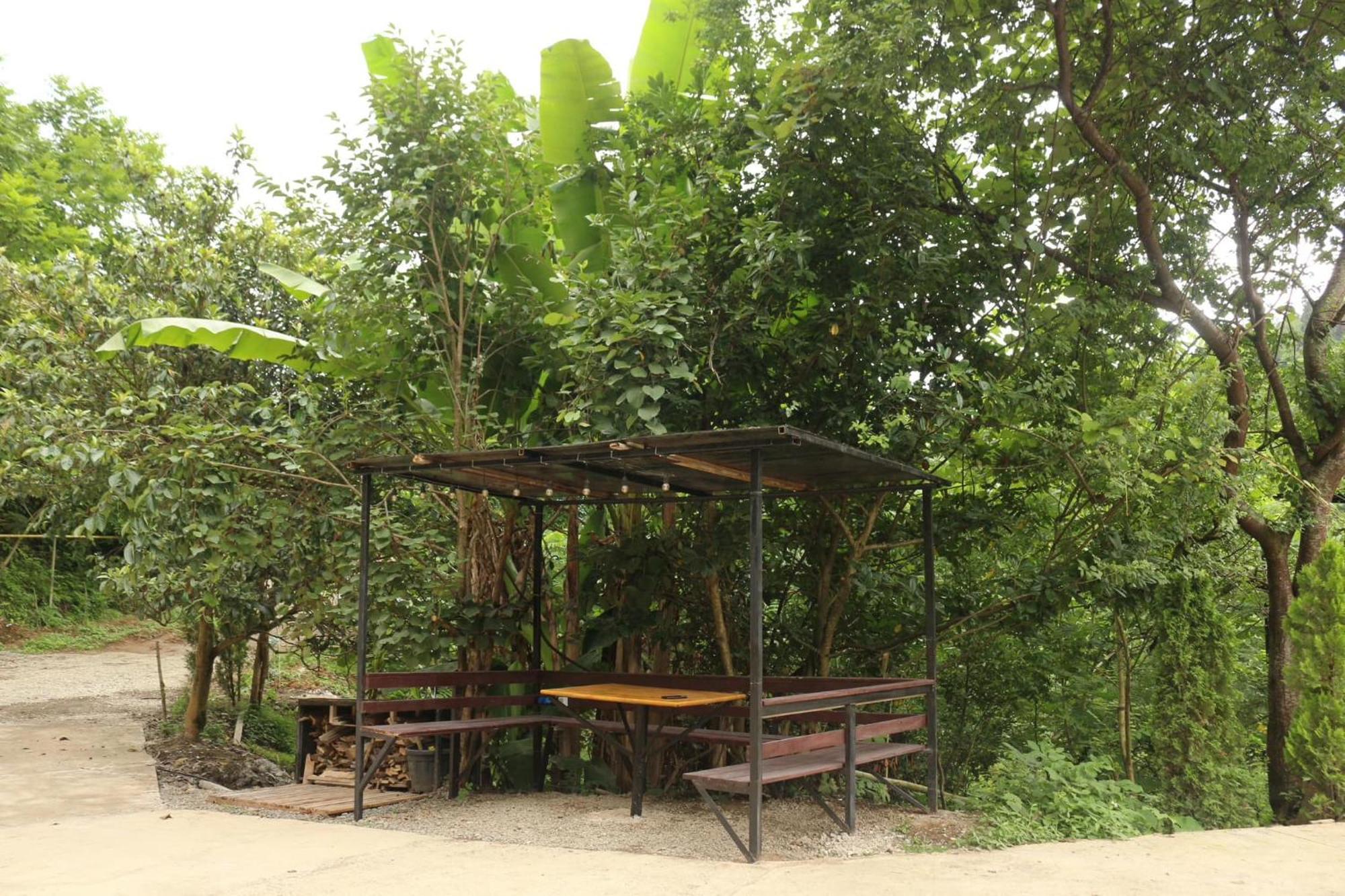 באטומי Modular House Green Zyland Y מראה חיצוני תמונה